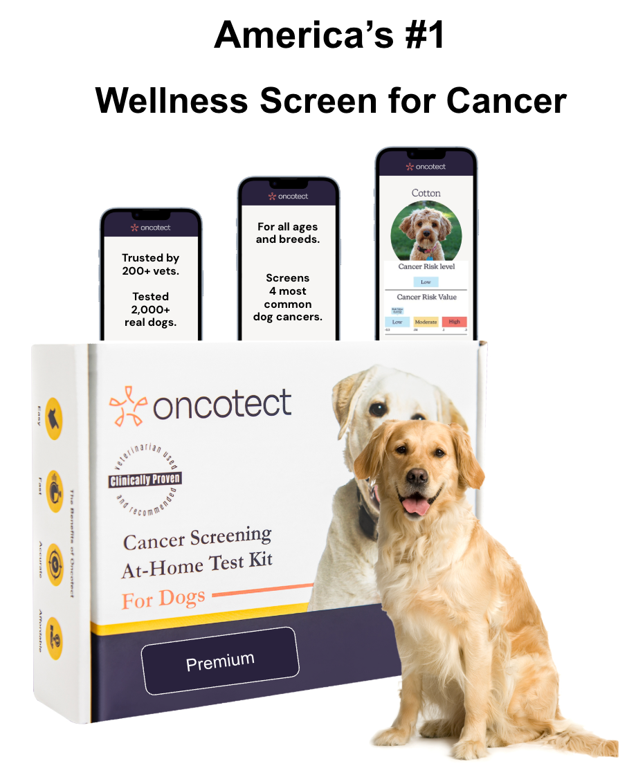 Cancer Screening Test for Dogs - Premium