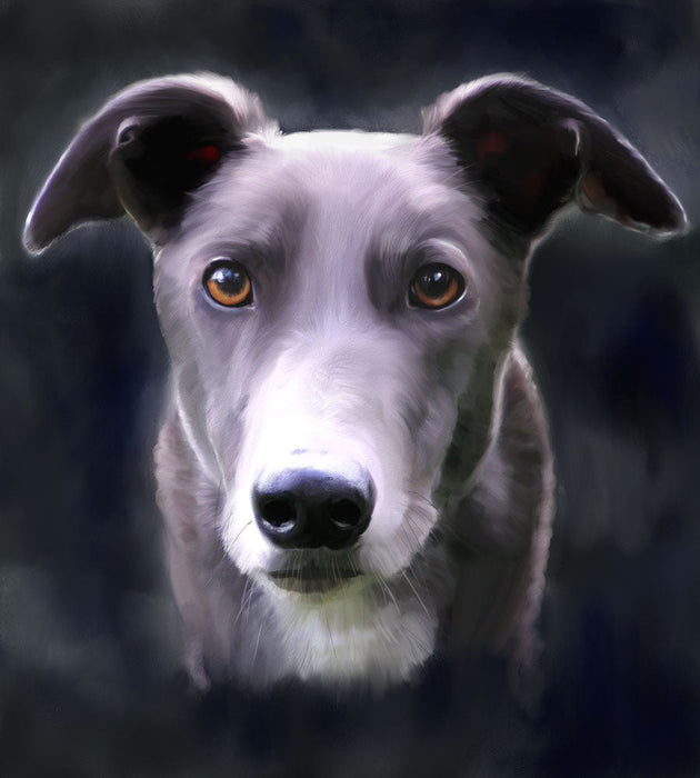 Making End-of-Life Decisions for Your Dog: A guide to navigating difficult choices, understanding your dog's quality of life, and knowing when it's time to say goodbye.