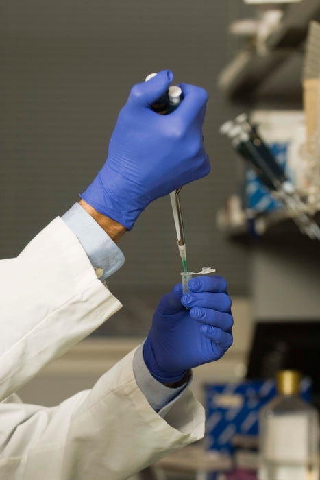 Canine Cancer Research: Ongoing Studies, Breakthroughs, and the Future of Cancer Treatments for Dogs