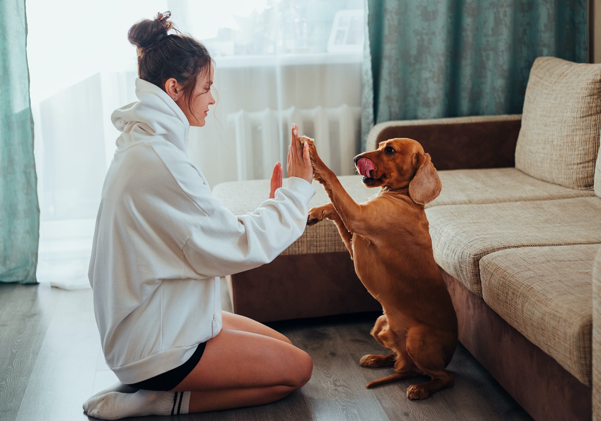The Benefits of Mental Stimulation for Your Dog's Well-Being