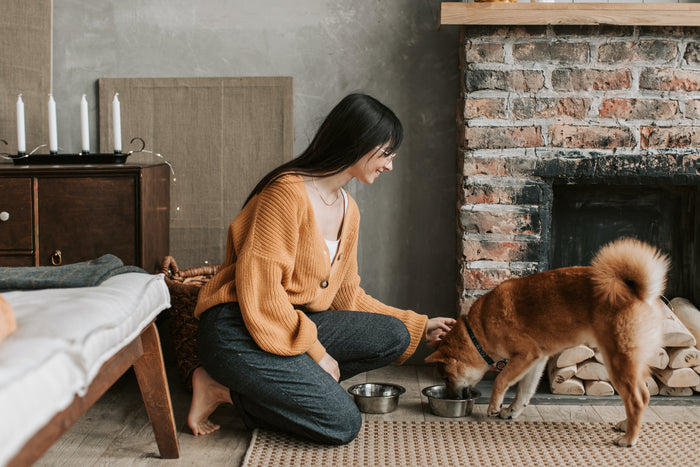 The Essential Guide to a Balanced Diet for Your Dog