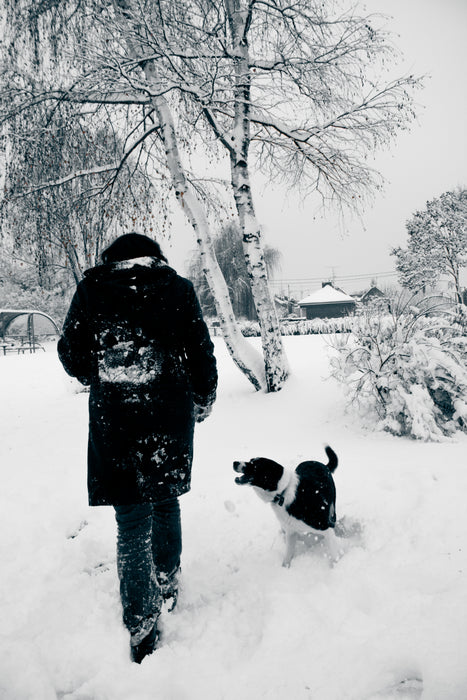 Coping Strategies: Navigating the Emotional Challenges of a Canine Cancer Diagnosis